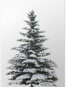 posters-weihnachtsbaum